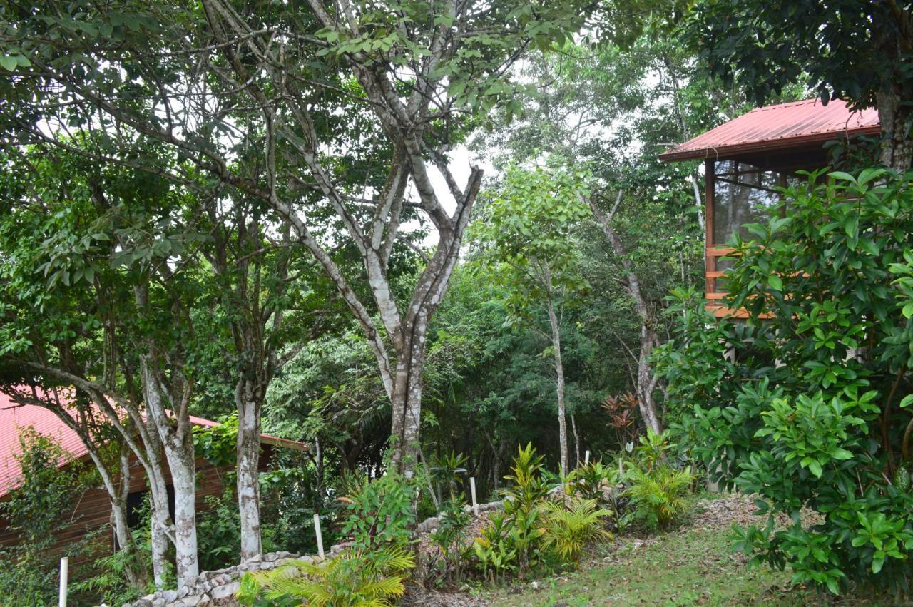 Santa Cruz Cabins Santa Elena Exteriör bild